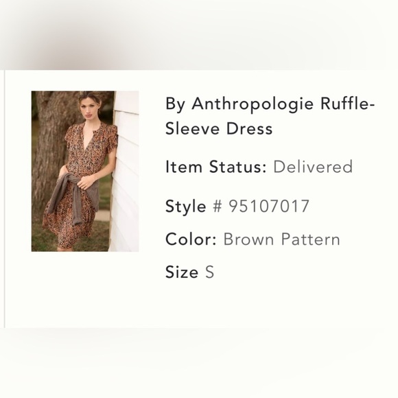 Anthropologie Ruffle Sleeve Dress - Picture 11 of 13